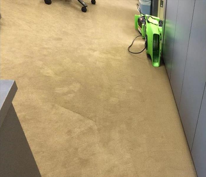 beige carpet, air mover on side drying